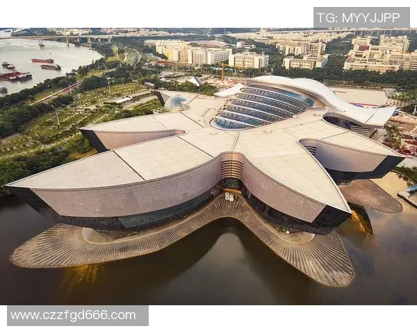 广州极限运动队灵活性表现的数据分析与研究探讨MBA