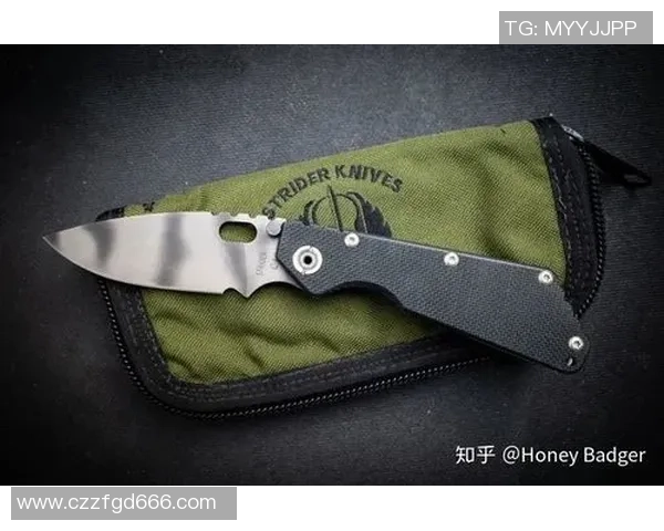 杭州极限运动队战术深度解析与对比研究